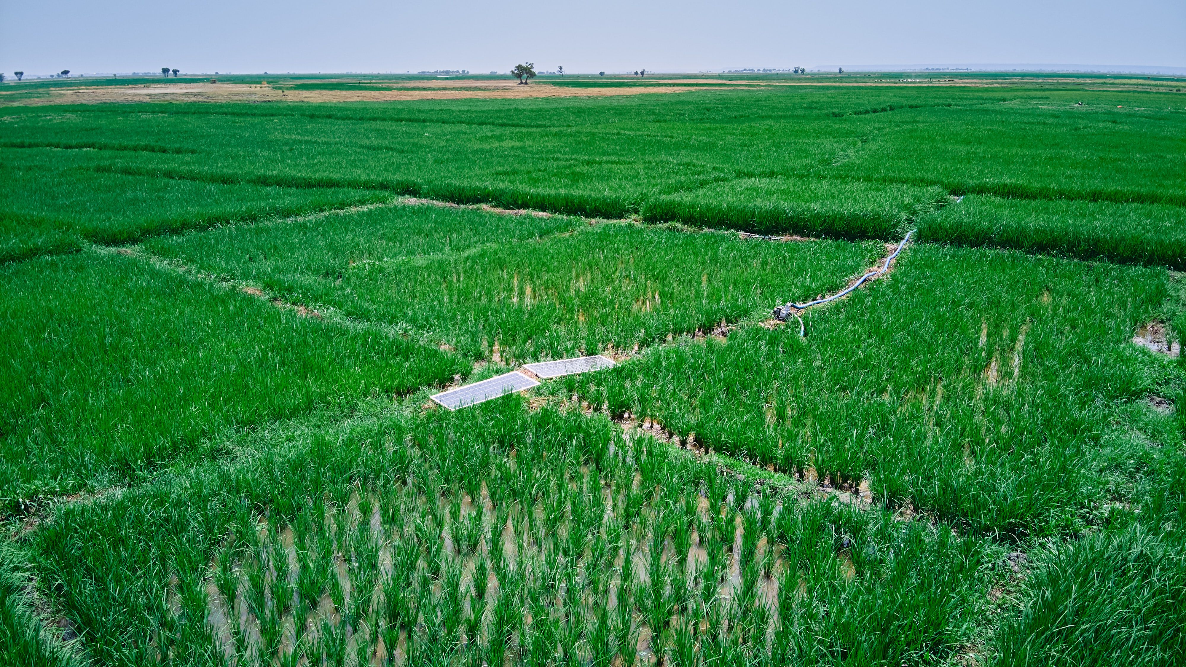 How Project Clean Green is Redefining Food Security in Northern Nigeria