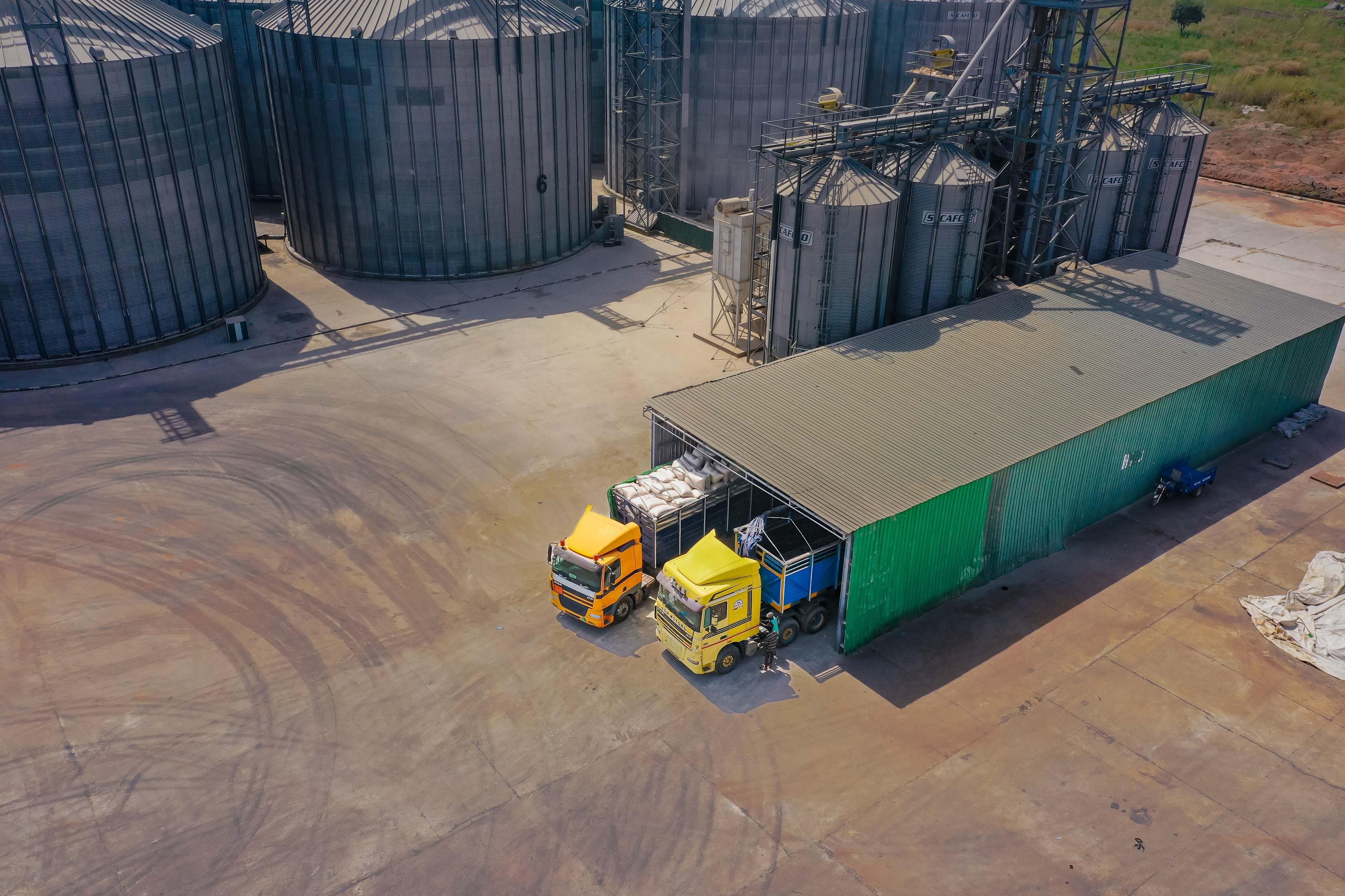 Unlocking Nigeria's Agricultural Export Potential