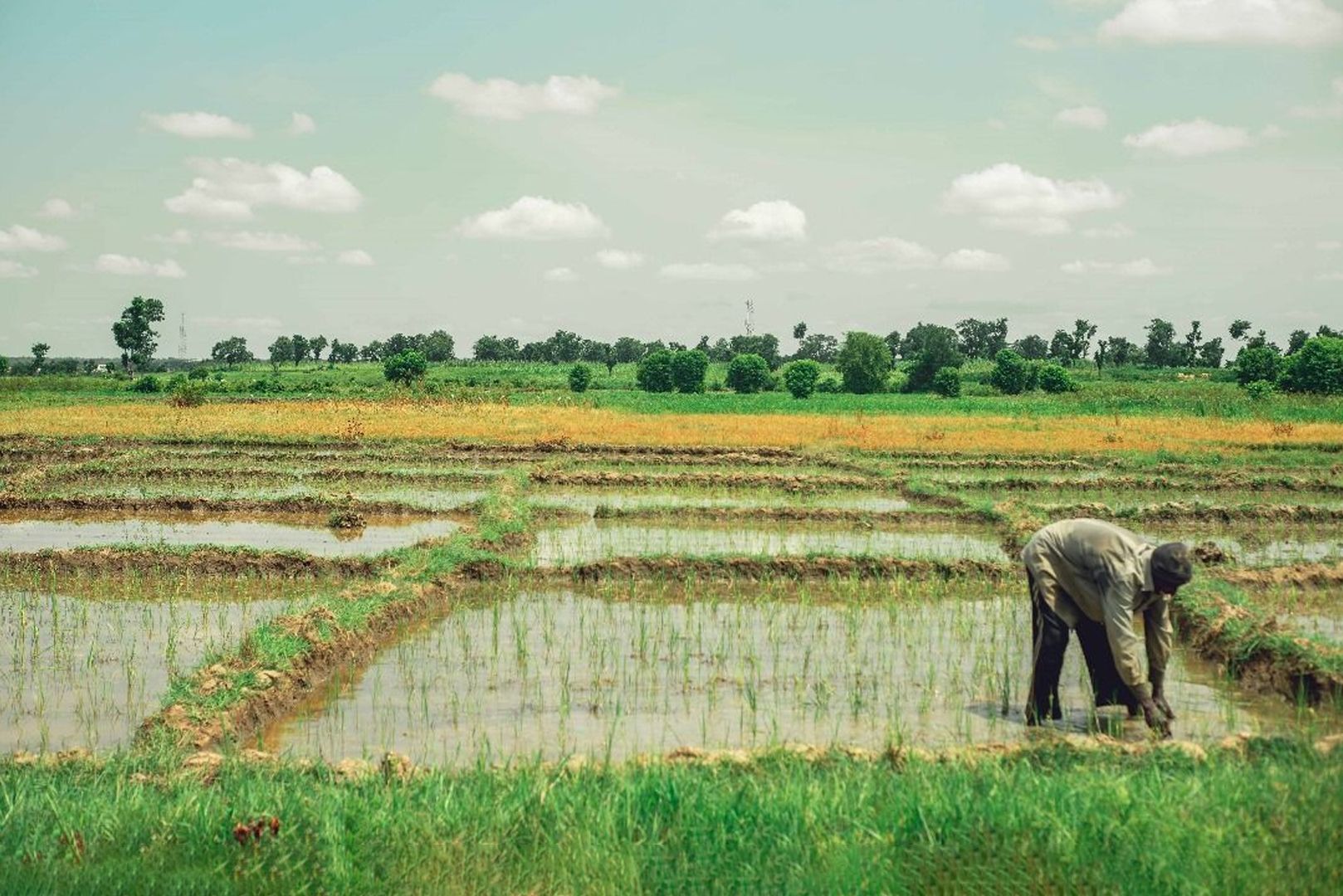 Turning Subsistence Farming into an Investment Opportunity 