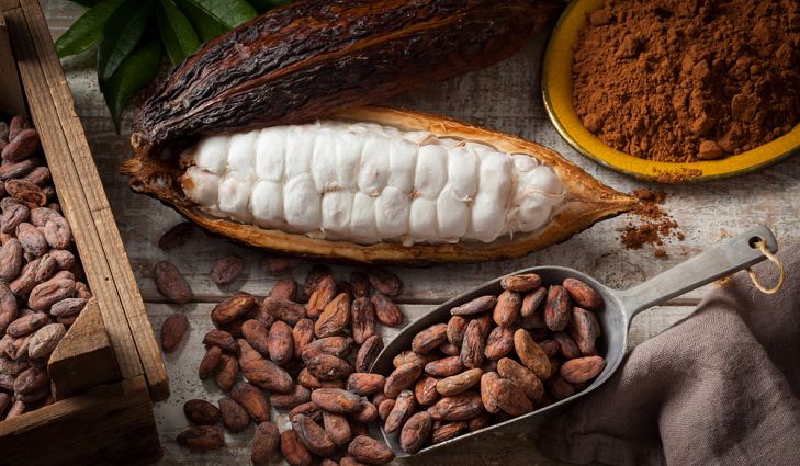 AFEX Cocoa Outlook for 2019/2020 Season