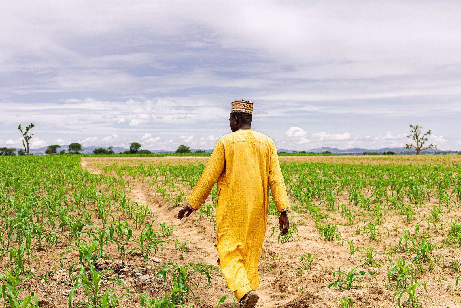 Why Nigeria Needs to Invest in Agriculture Financing