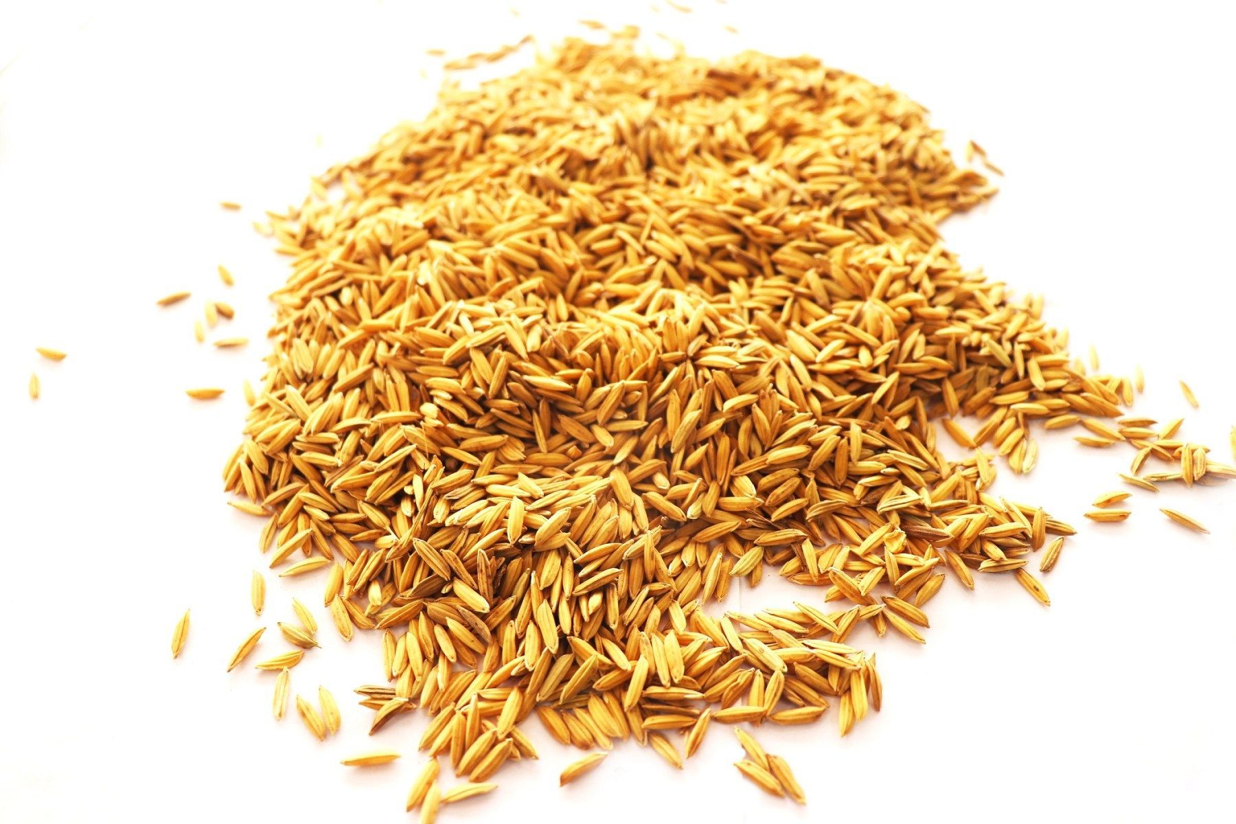 Paddy Rice Markets in 2019 - A Primer on AFEX’s Outlook