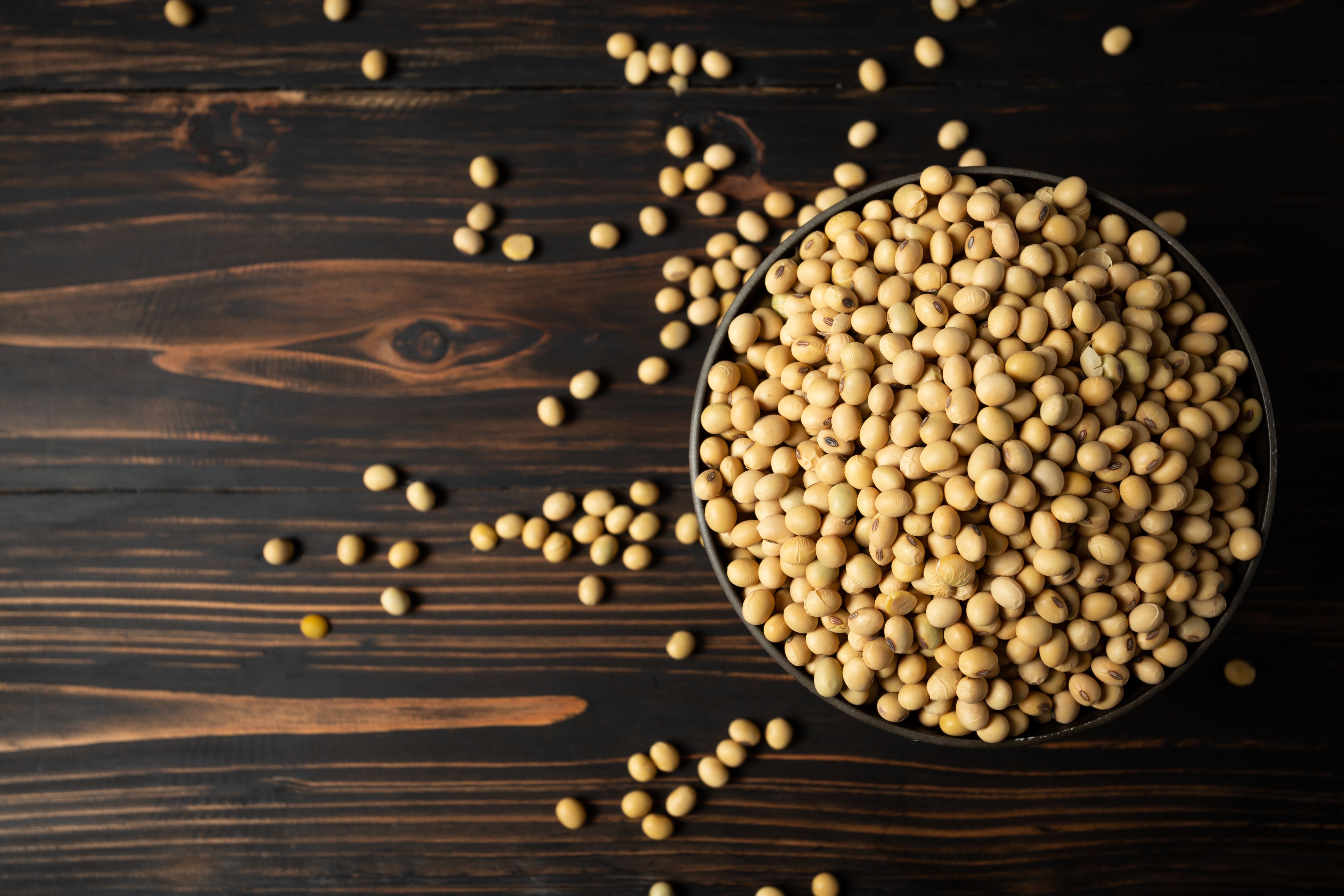 HARVEST SPOTLIGHT: Soybean- Pods to Market