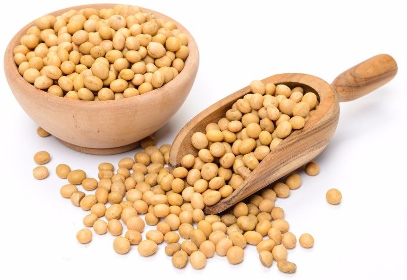 Soybean Outlook for 2019/2020 Season