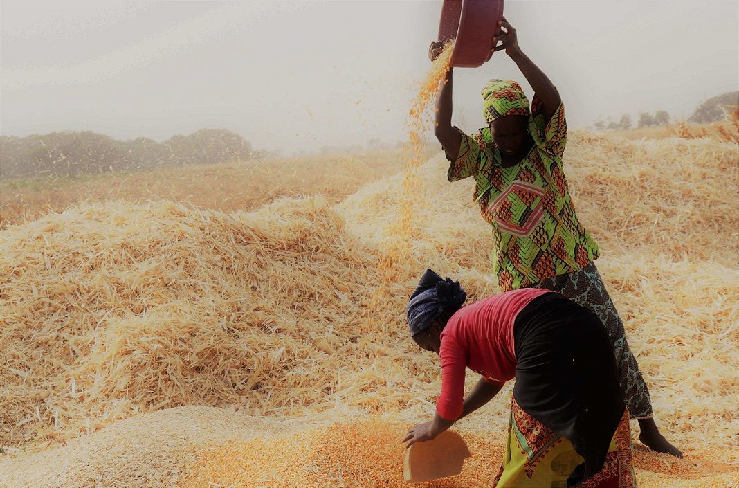 Women in Agriculture - Balance For Better Even on the Farm